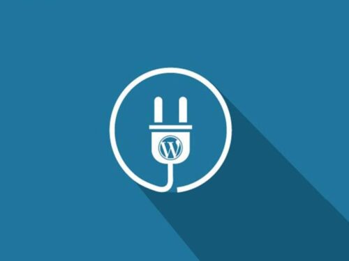 WordPress Plugins and What Purpose do they Serve?